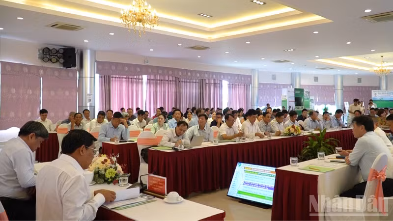Quang cảnh Hội nghị tổng kết.