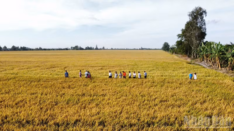 ndo_br_thiet-ke-chua-co-ten-3.png