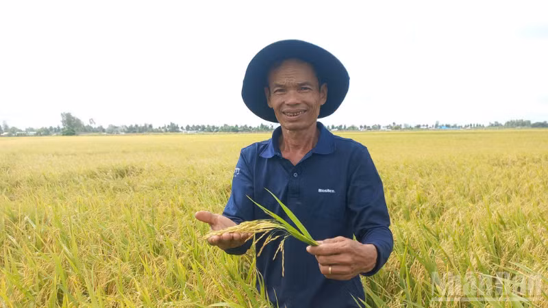 ndo_br_thiet-ke-chua-co-ten-2.png