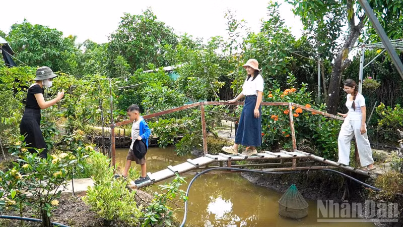 Những trải nghiệm gần gũi với thiên nhiên và đời sống nông thôn đã mang đến cho nhiều gia đình những phút giây thư giãn đúng nghĩa. 