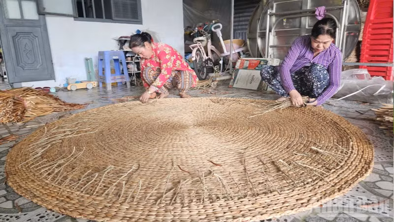 Vị Thủy lựa chọn 1-2 sản phẩm tiêu biểu để tập trung hỗ trợ, hướng đến OCOP 5 sao. (Ảnh: VĂN ÚT)