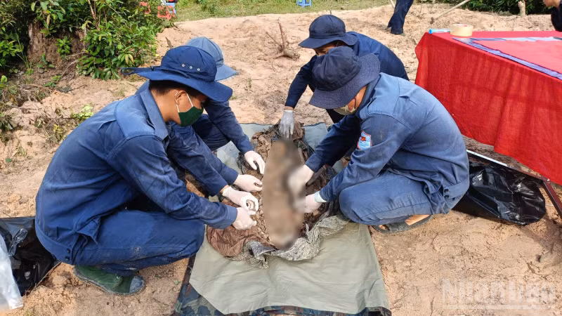 ndo_br_thiet-ke-chua-co-ten-1.png