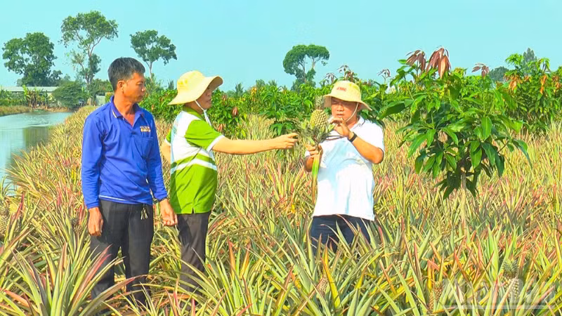 ndo_br_thiet-ke-chua-co-ten-1-341.png
