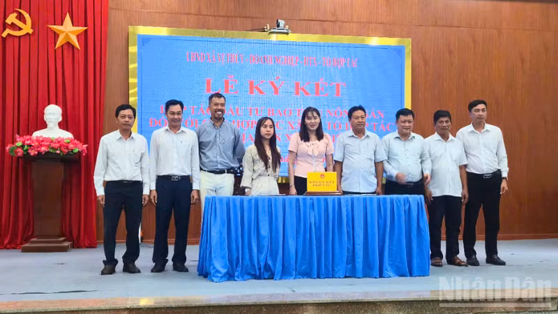 Xã Vị Thủy tổ chức lễ ký kết hợp tác đầu tư bao tiêu lúa giữa doanh nghiệp với các hợp tác xã/tổ hợp tác trên địa bàn. 