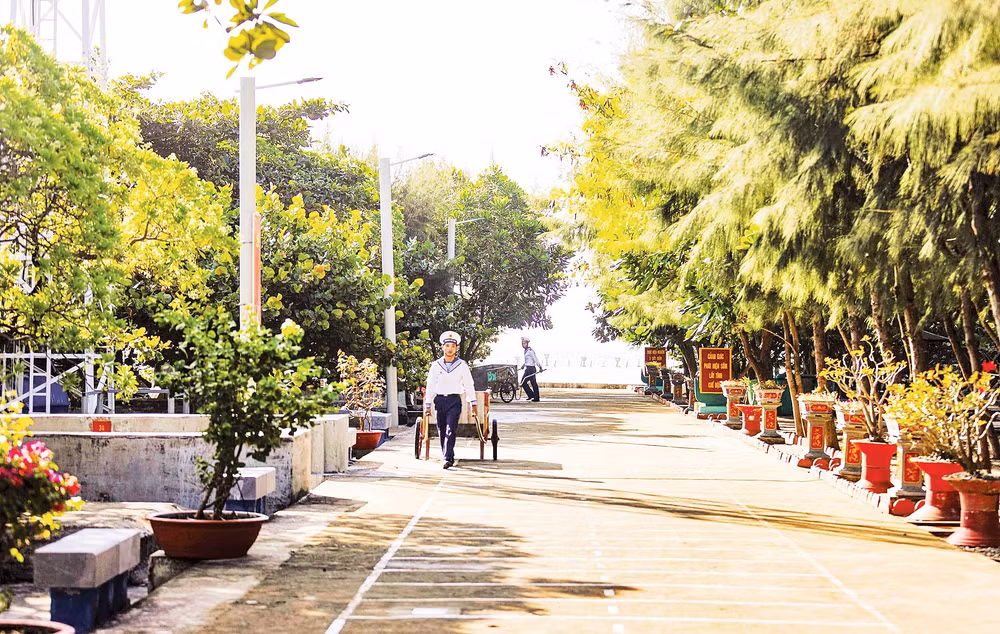 Cây xanh trên đảo Sinh Tồn. 