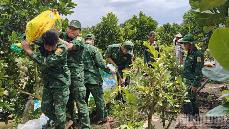 Bộ đội Biên phòng Đồng Tháp giúp dân gia cố bờ bao trên địa bàn (ảnh Đoàn Phát).