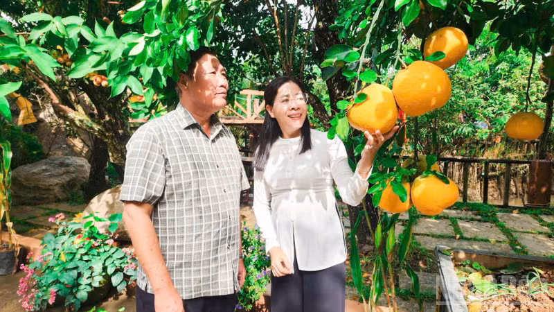 ndo_br_thiet-ke-chua-co-ten-1-1476.png