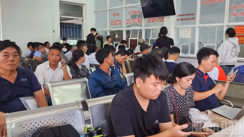 ndo_br_thiet-ke-chua-co-ten-2.png