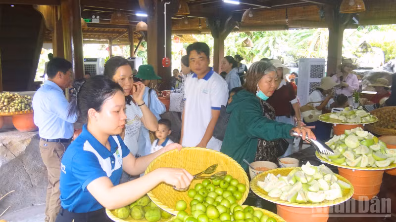 ndo_br_thiet-ke-chua-co-ten-1-8917.png