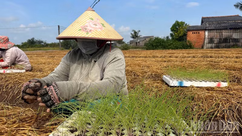 ndo_br_thiet-ke-chua-co-ten-2.png