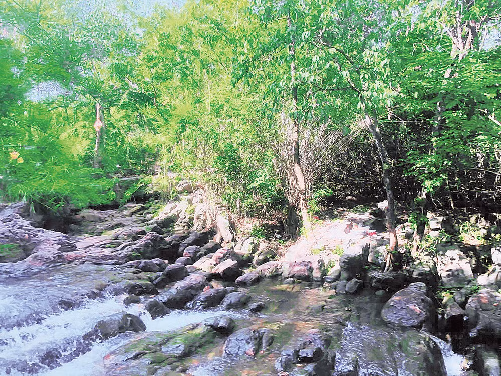suoi-truc-4.jpg