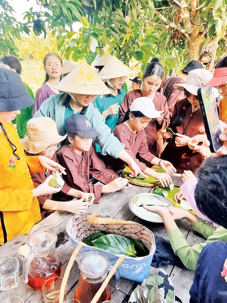 Các em học sinh được tìm hiểu và trải nghiệm nhiều mô hình nông nghiệp xanh thông qua chương trình. Ảnh: Thúy Phượng
