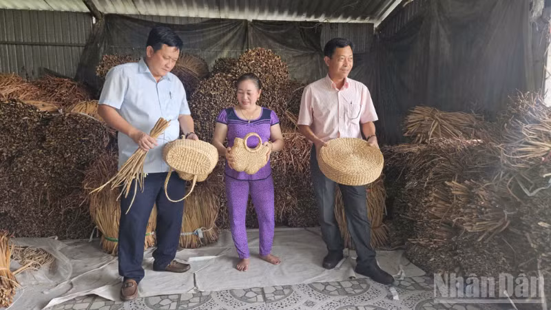 Ông Trương Trần Trọng Hiếu (áo xanh), Chủ tịch Ủy ban nhân dân xã Vị Thủy thăm và làm việc với Hợp tác xã Thanh Tú.