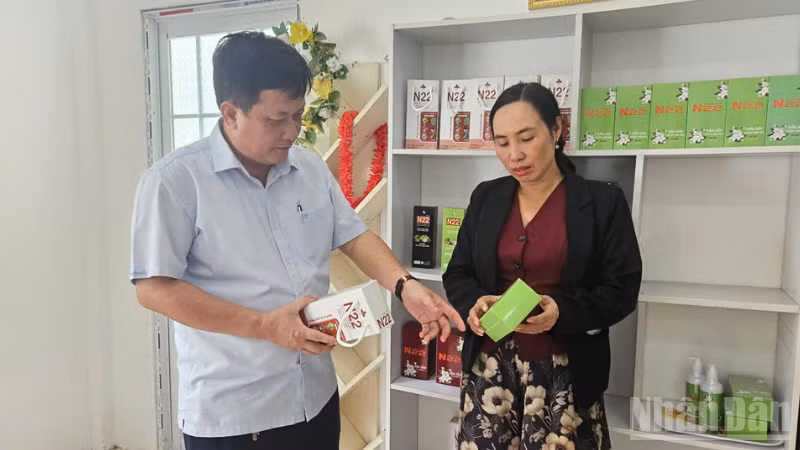 ndo_br_thiet-ke-chua-co-ten-4.png