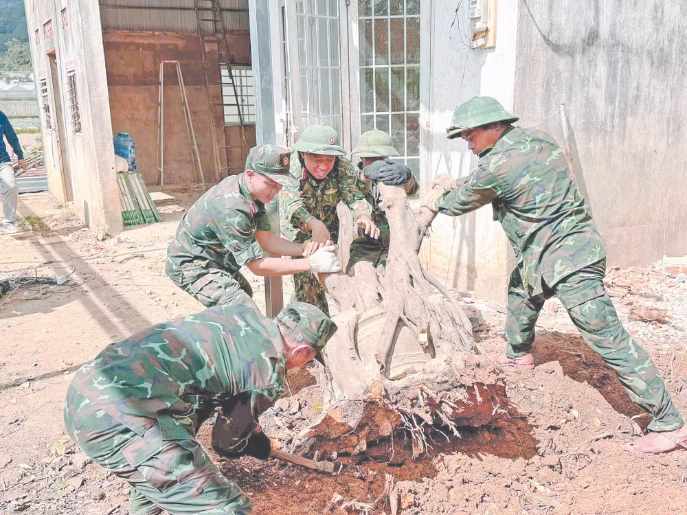 Cán bộ, chiến sĩ sửa nhà giúp dân.
