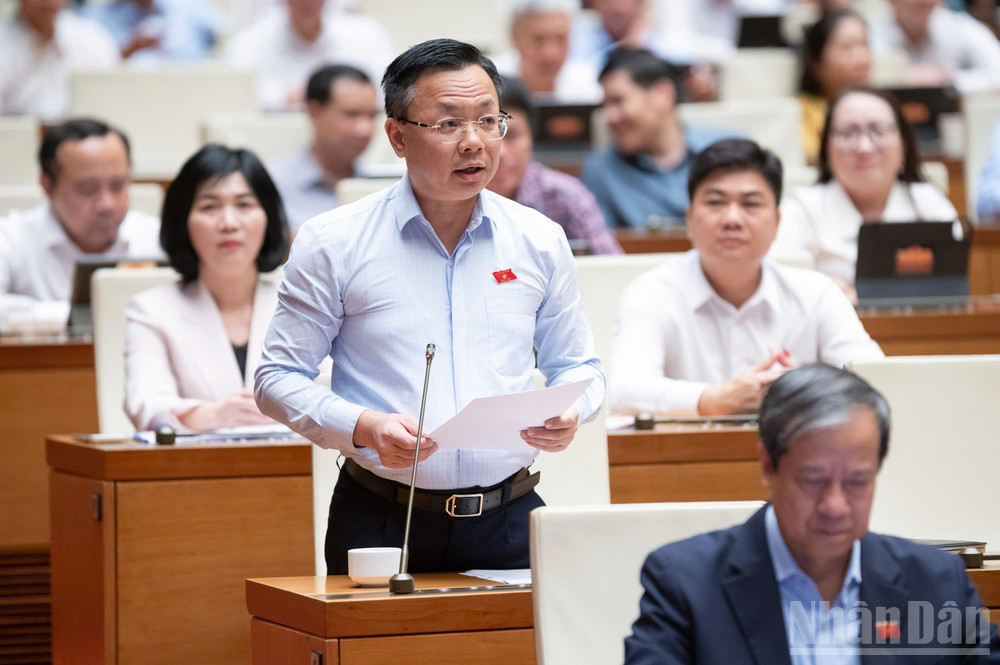 Đại biểu Quốc hội Trần Thanh H&agrave;. (Ảnh: DUY LINH)
