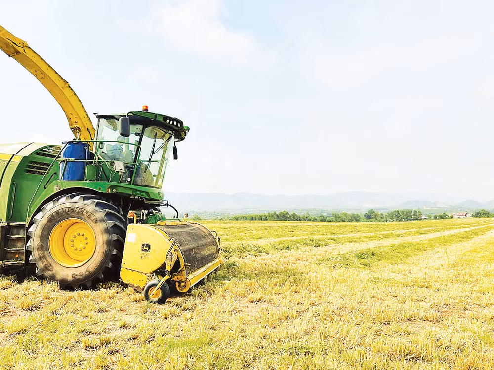 Nông trường của Tập đoàn TH ở xã Nghĩa Đàn, tỉnh Nghệ An, ứng dụng phát triển nông nghiệp công nghệ cao.