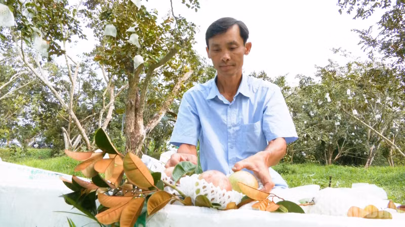 ndo_br_thiet-ke-chua-co-ten-1.png