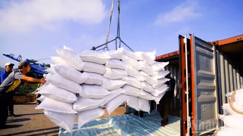 Chi phí logistics tại Đồng bằng sông Cửu Long đang bào mòn năng lực cạnh tranh của doanh nghiệp.