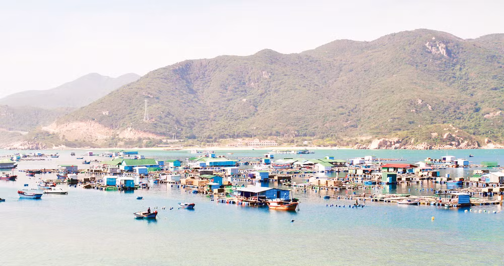 Đường bờ biển dài 192 km là nền tảng để Lâm Đồng mở hướng phát triển thủy sản. Ảnh: Khiếu Minh