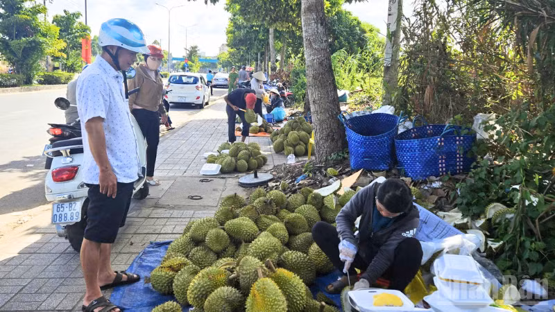ndo_br_thiet-ke-chua-co-ten-1.png
