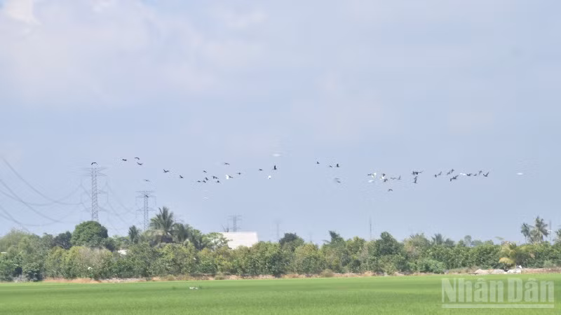ndo_br_dsc-0375-4475.jpg