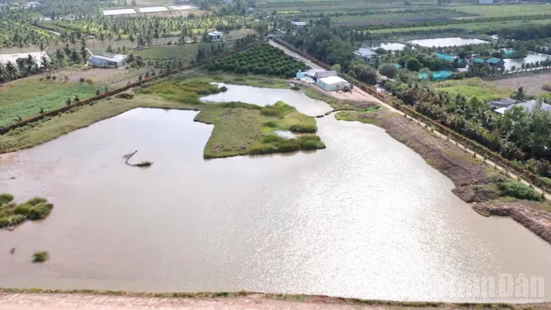 ndo_br_thiet-ke-chua-co-ten-201.png