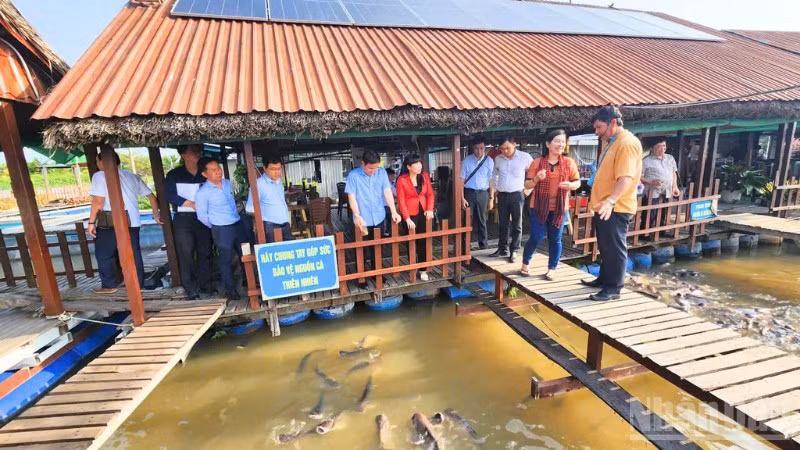 ndo_br_thiet-ke-chua-co-ten-3.png