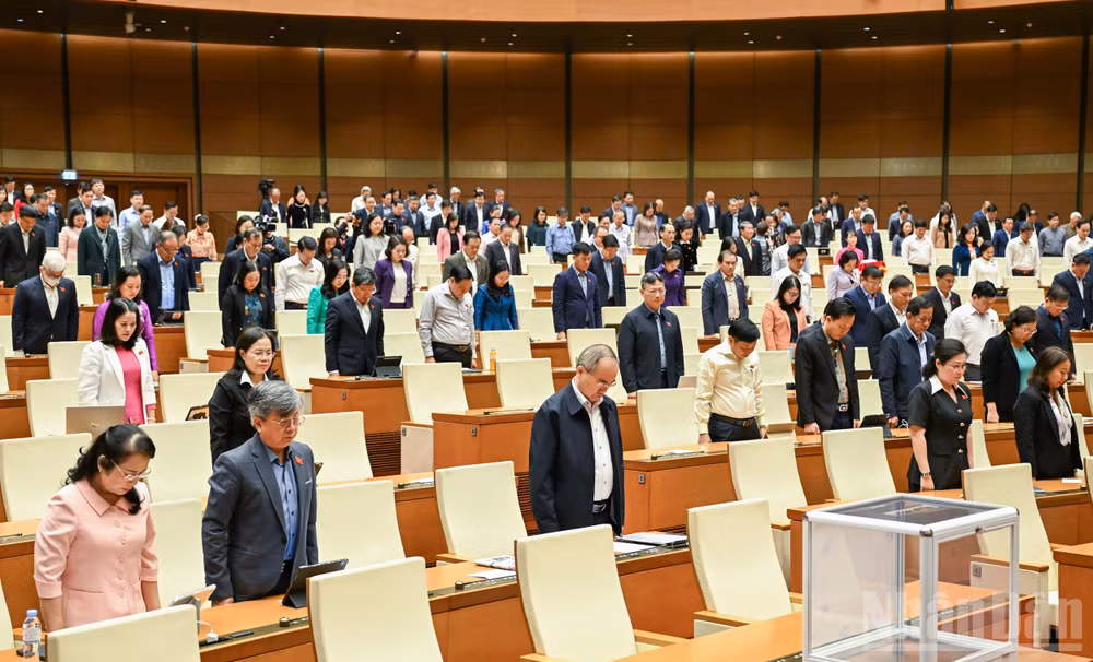 ndo_br_bnd-6981.jpg