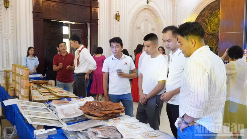 ndo_br_thiet-ke-chua-co-ten-2.png