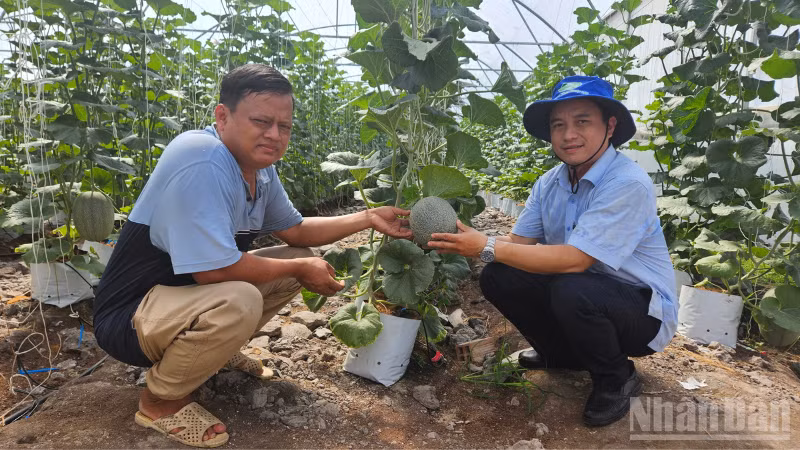 ndo_br_thiet-ke-chua-co-ten.png
