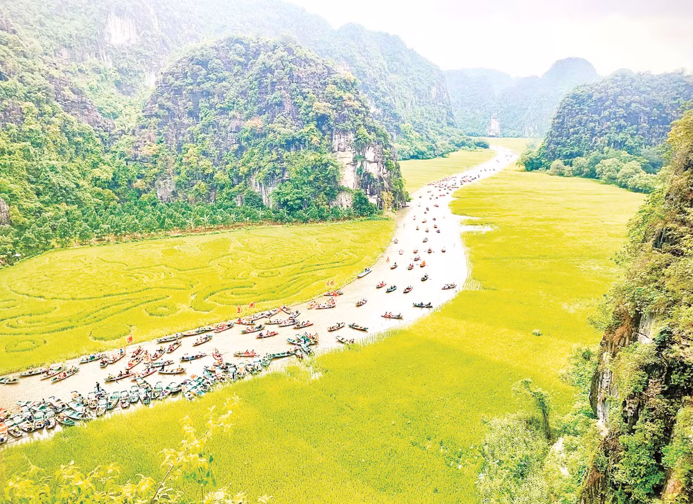 Rực rỡ Lễ hội Sắc vàng Tam Cốc 2025.
