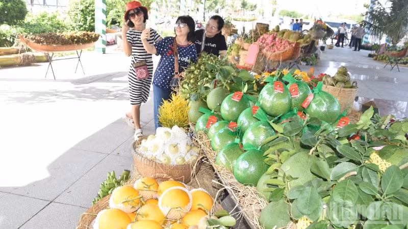 Du khách chụp ảnh lưu niệm tại khu trưng bày ở Lễ hội trái cây tỉnh Đồng Tháp lần thứ I, năm 2026.