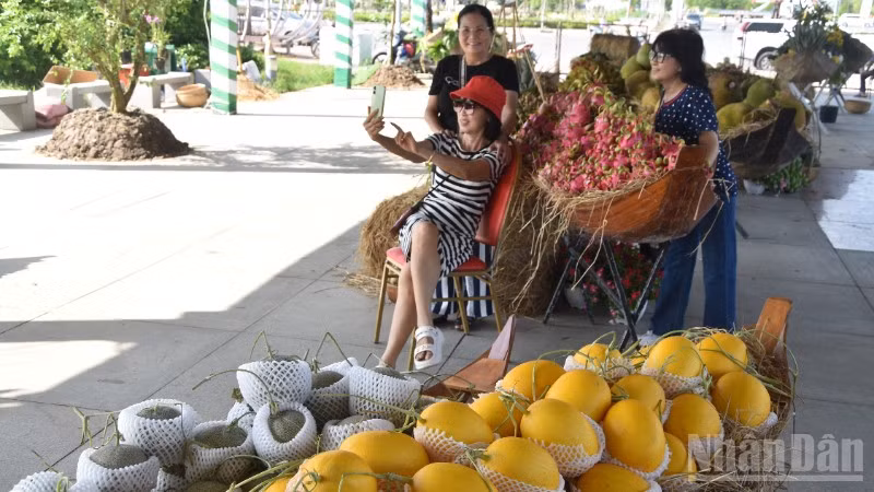 ndo_br_anh-4-8051.jpg