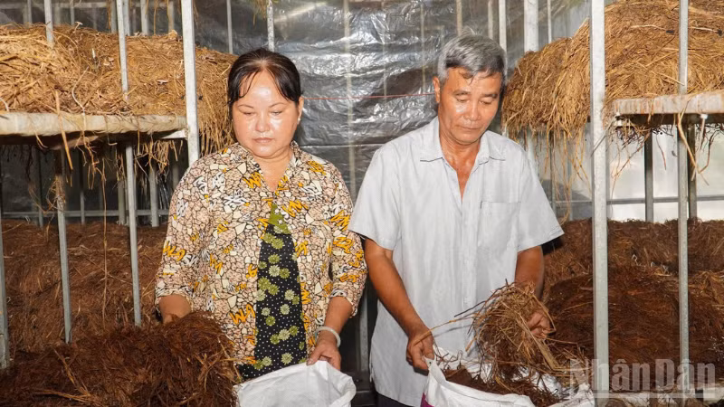 ndo_br_thiet-ke-chua-co-ten-3.png