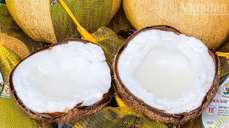 Giống dừa sáp cấy phôi của Hợp tác xã Dừa sáp Hòa Tân, xã An Phú Tân, tỉnh Vĩnh Long cơm dày, thơm ngon. (Ảnh: MINH KHỞI)