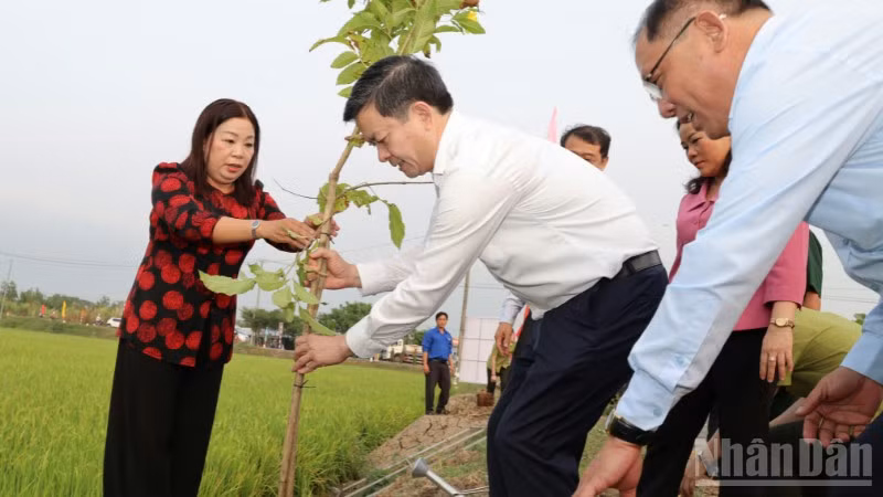 ndo_br_thiet-ke-chua-co-ten-2.png