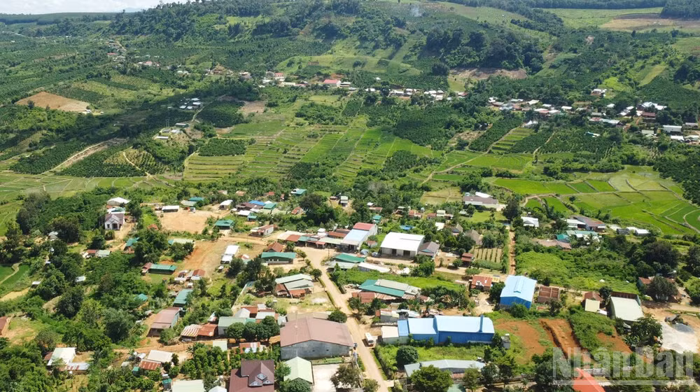 ndo_br_4.jpg
