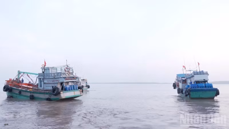ndo_br_thiet-ke-chua-co-ten-1.png