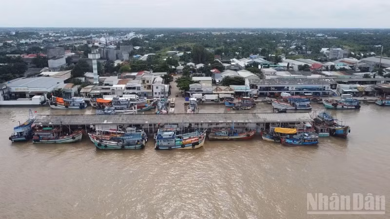 Cảng cá Trần Đề, xã Trần Đề, thành phố Cần Thơ nhìn từ trên cao.