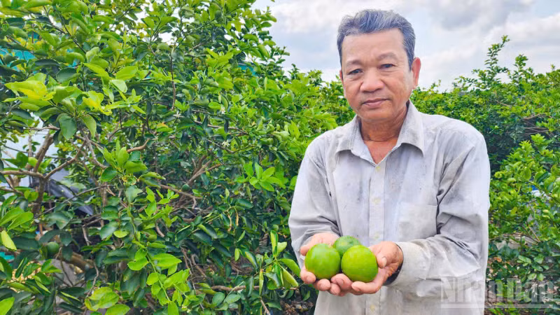 ndo_br_thiet-ke-chua-co-ten-2.png