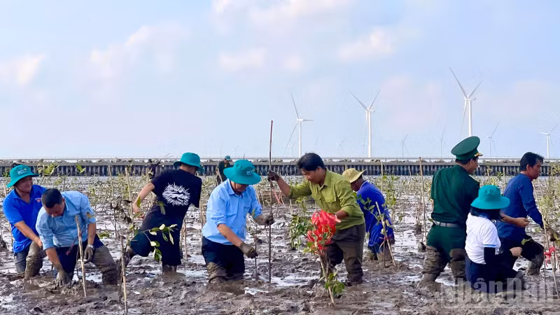 ndo_br_thiet-ke-chua-co-ten-2.png