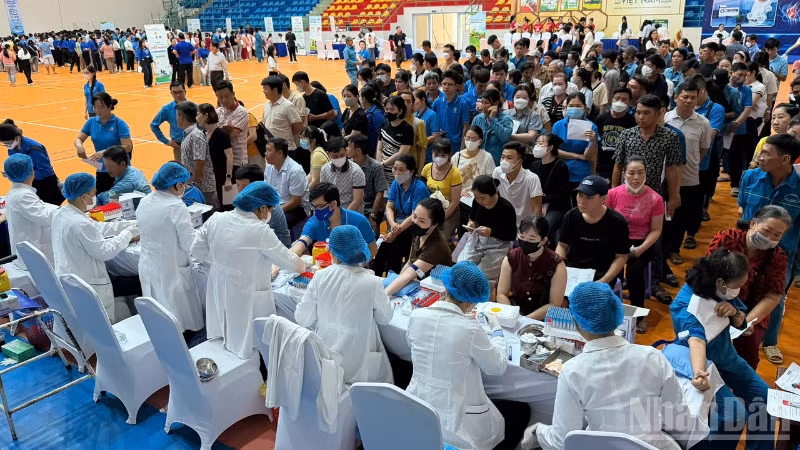 ndo_br_thiet-ke-chua-co-ten-2.png
