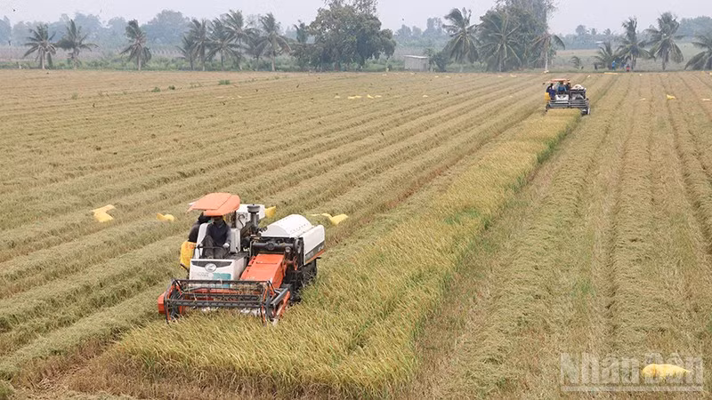 ndo_br_j2.jpg