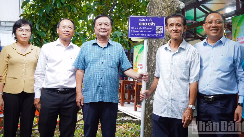 Các đại biểu trải nghiệm bên cây măng cụt 40 năm tuổi. (Ảnh: VĂN ÚT)