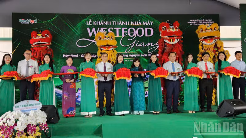 ndo_br_thiet-ke-chua-co-ten-2.png