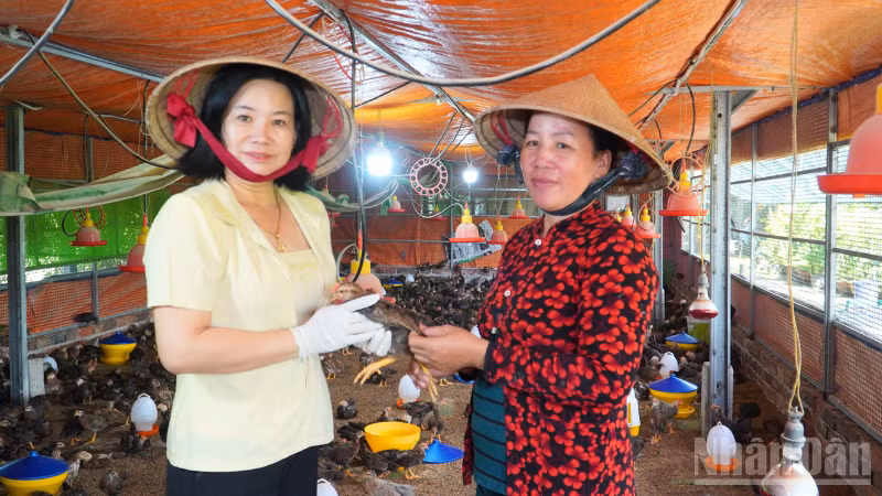 ndo_br_thiet-ke-chua-co-ten-3.png