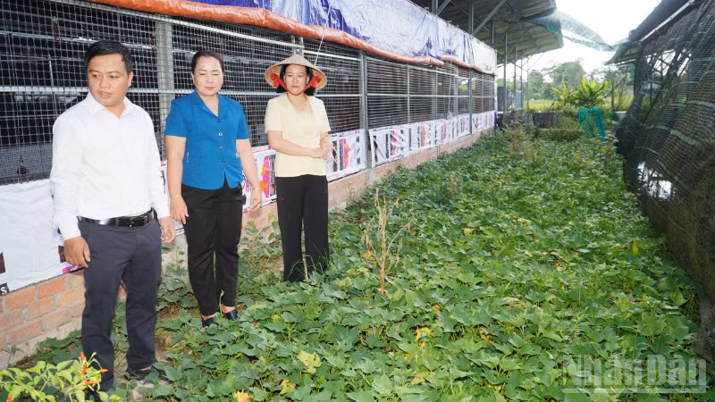 ndo_br_thiet-ke-chua-co-ten-2.png