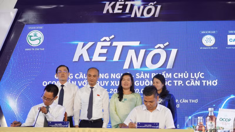 ndo_br_thiet-ke-chua-co-ten-1-9278.png