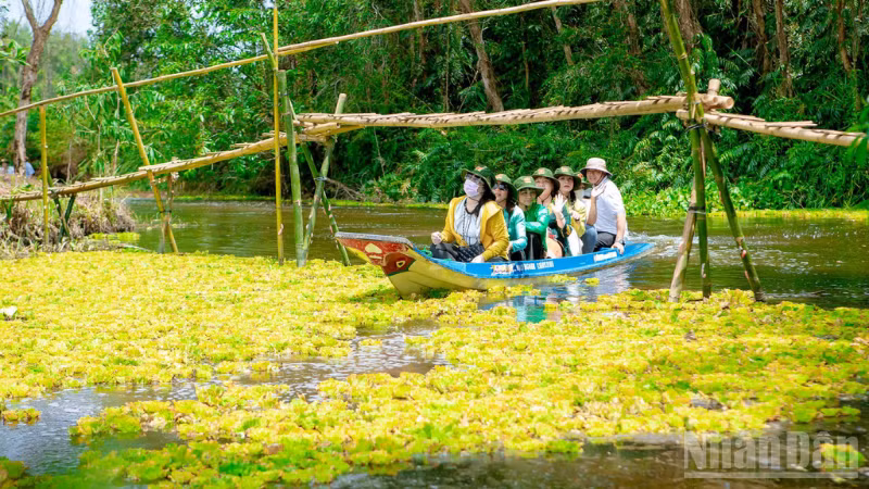 ndo_br_thiet-ke-chua-co-ten-2.png
